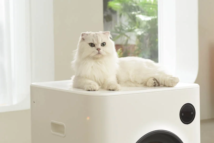 best automatic cat litter boxes